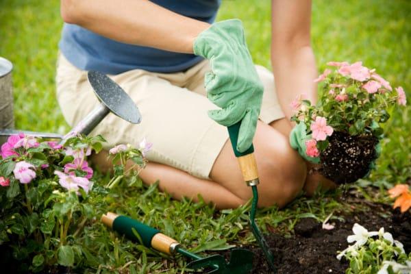 A woman gardening