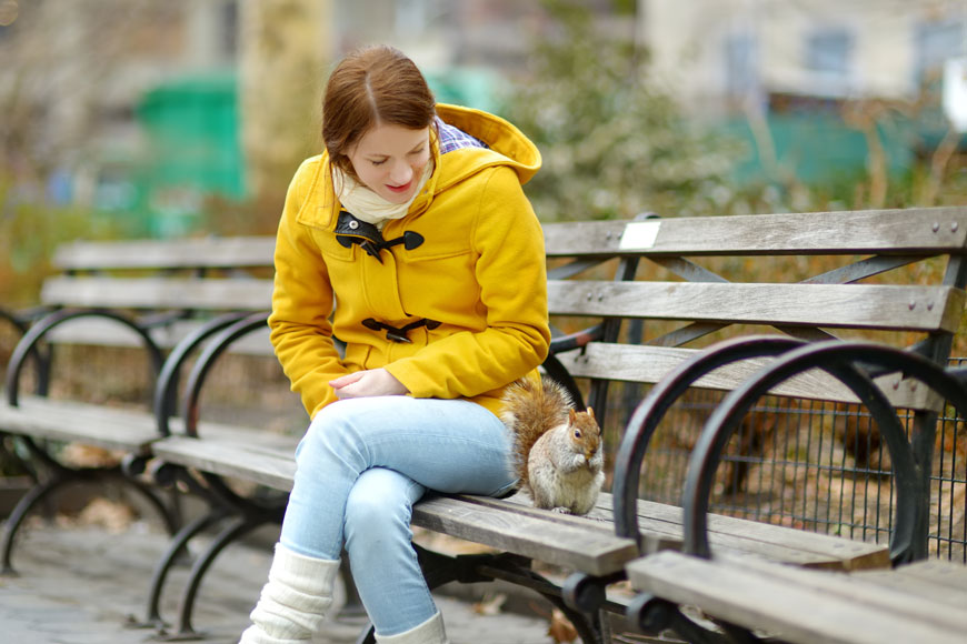 A woman sits on a wood bench watching a grey squirrel