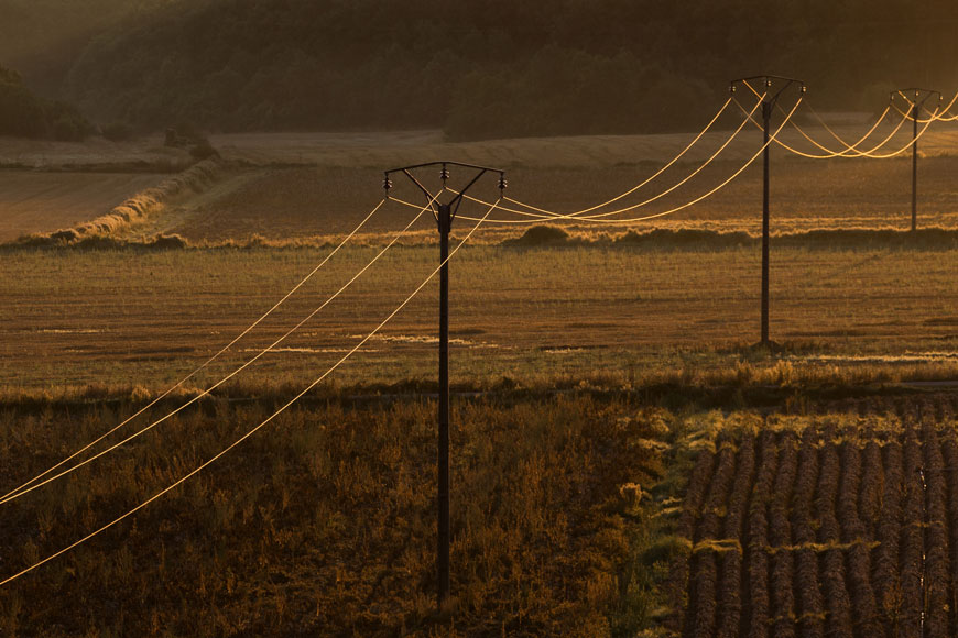 Telephone wires stretch over a farmer’s field of crops