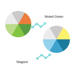 pie chart