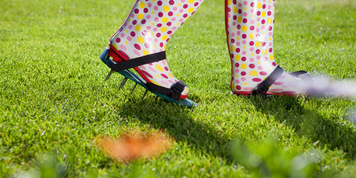 Lawn Care Basics: Aerating Spikes