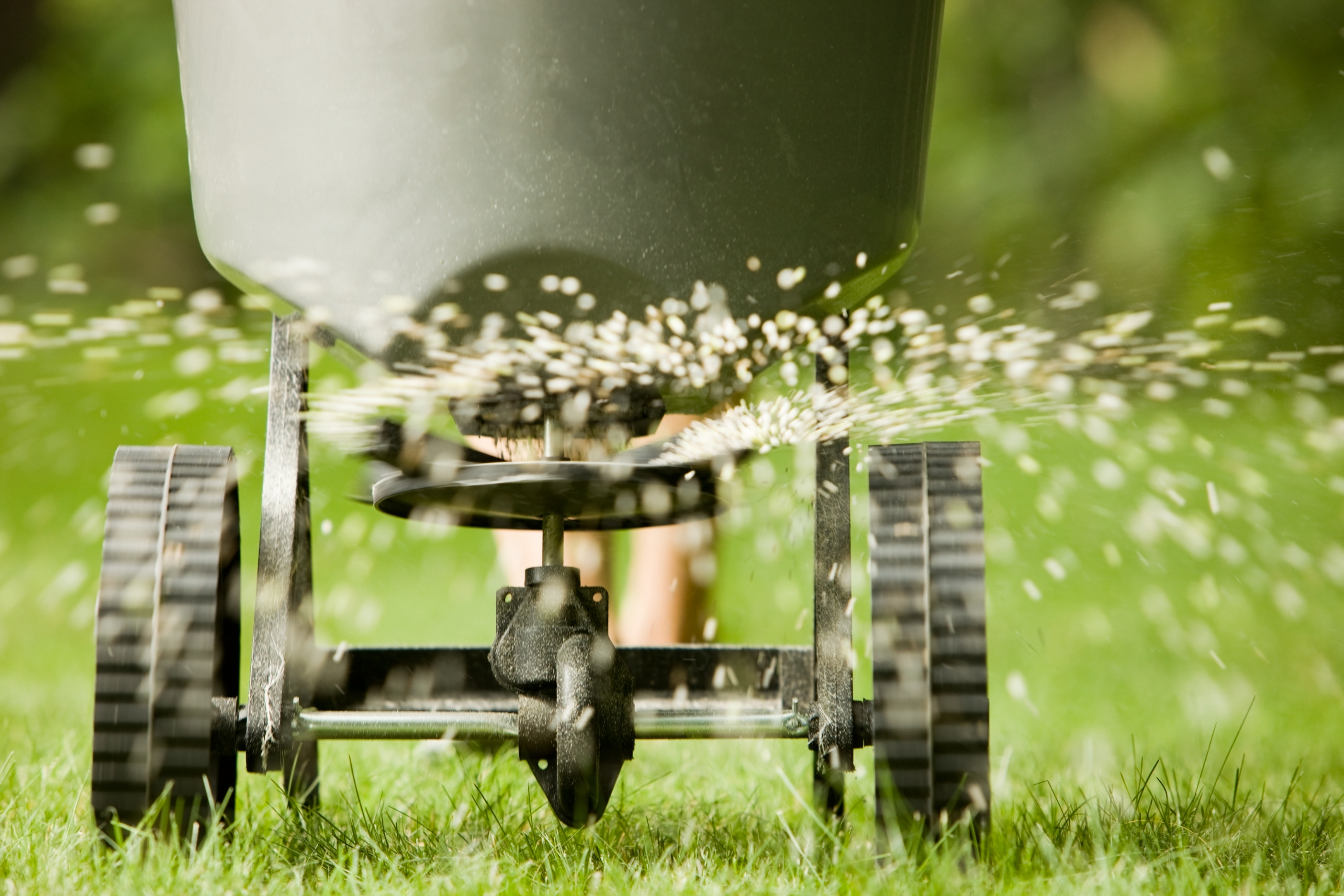 Fertilizer in Broadcast Spreader